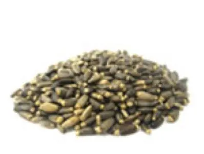 Milk Thistle Seed (Silybum marianum)