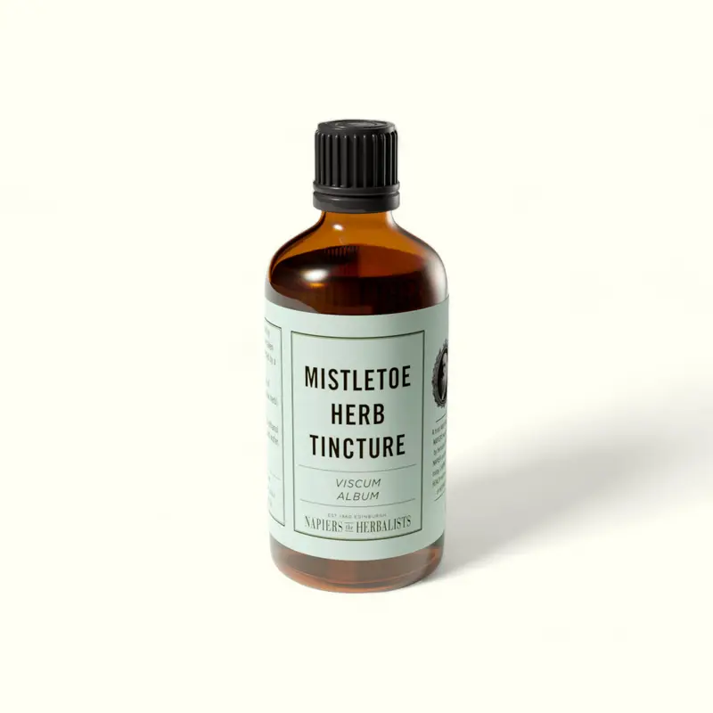 Mistletoe herb (Viscum album) Tincture