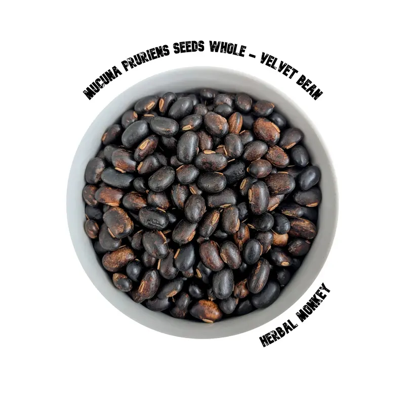 Mucuna pruriens Seeds | Velvet Bean | Tropical Climbing Vine