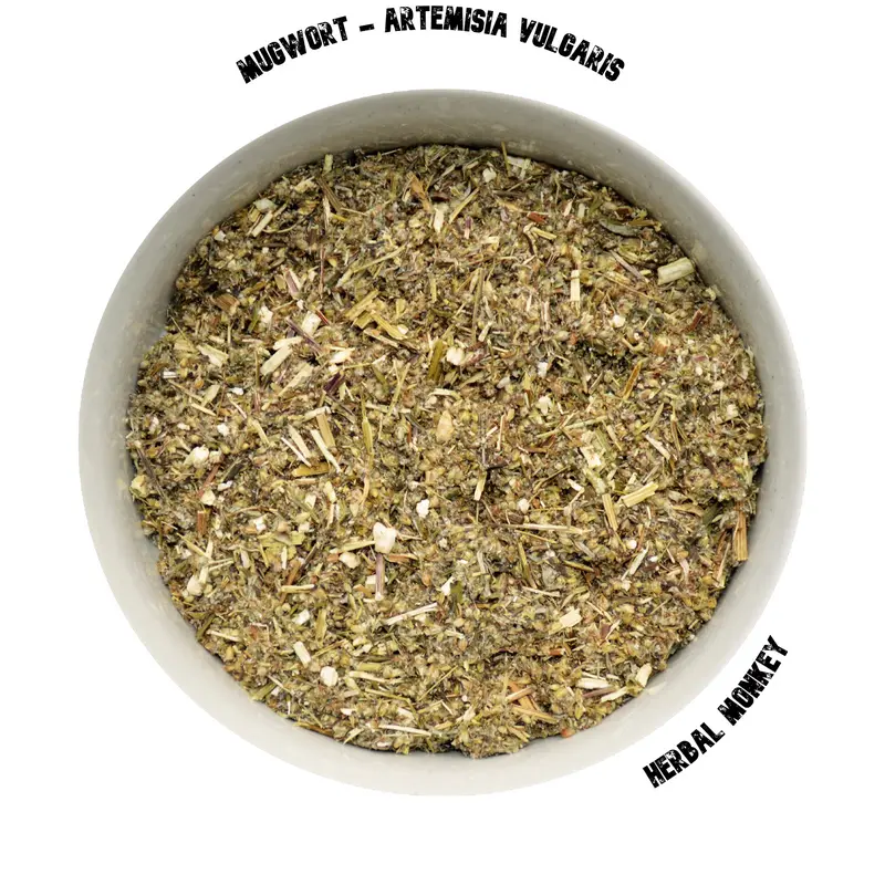 Mugwort Herb | Artemisia Vulgaris | Premium Botanical