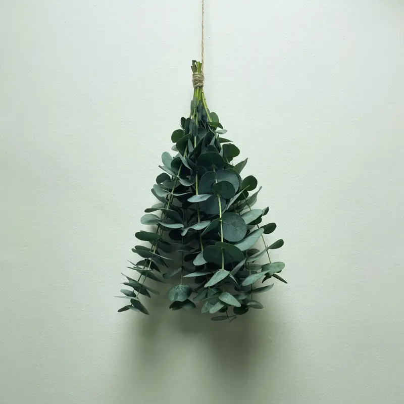 Napiers Aromatherapy Eucalyptus Shower Bunch