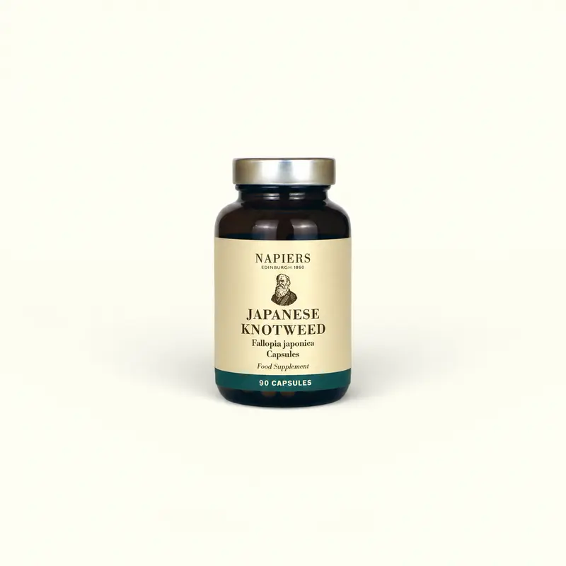 Napiers Japanese Knotweed 350mg 90 Capsules