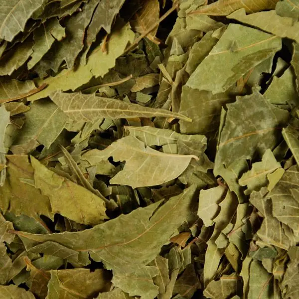 Neem leaf (from Azadirachta indica, healing, antimicrobial, and detoxifying properties 50g