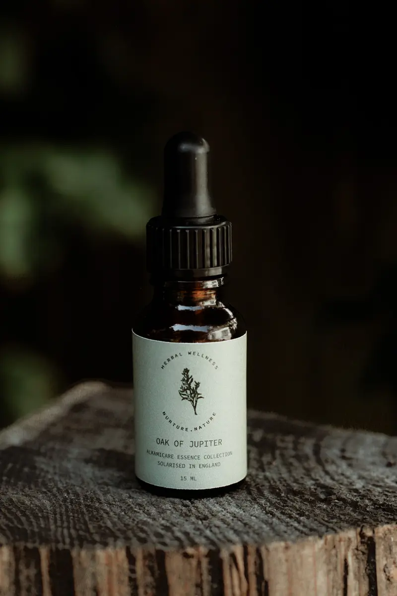 Oak of Jupiter Essence