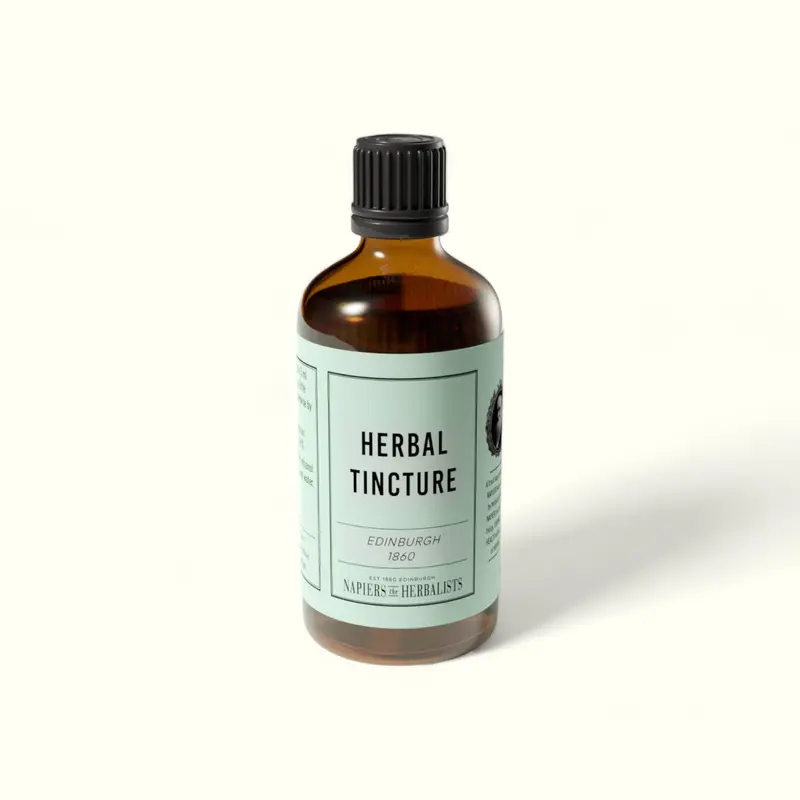 Oak Tincture (Quercus robusta)