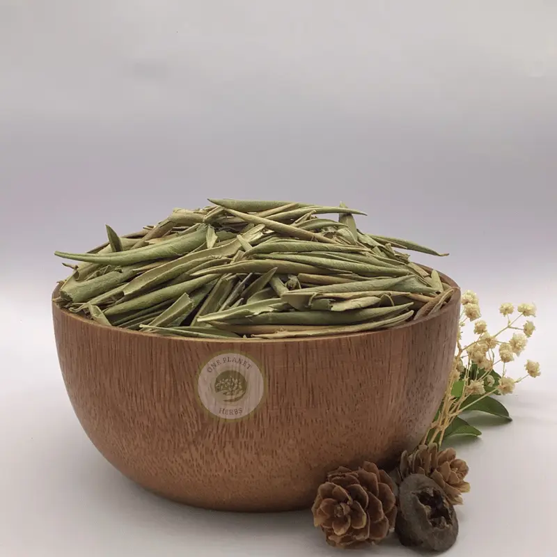 Olive Leaves