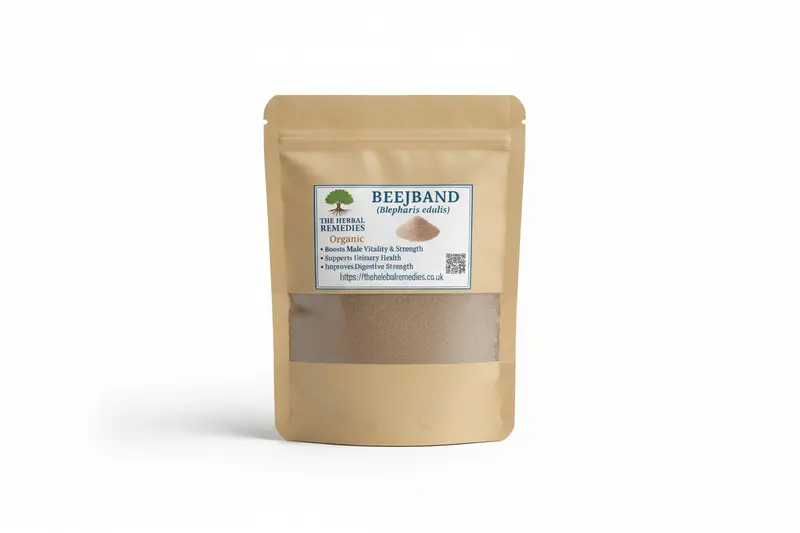 Organic Beejband (Blepharis edulis) Powder – Traditional Herbal Supplement
