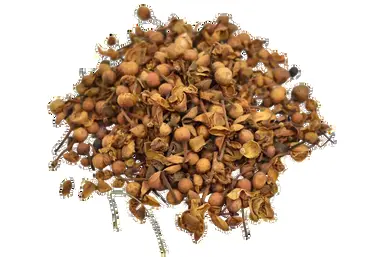 Organic Nagkesar Seed Mesua Ferrea Cobra saffron 100g ceylon ironwood Indian rose