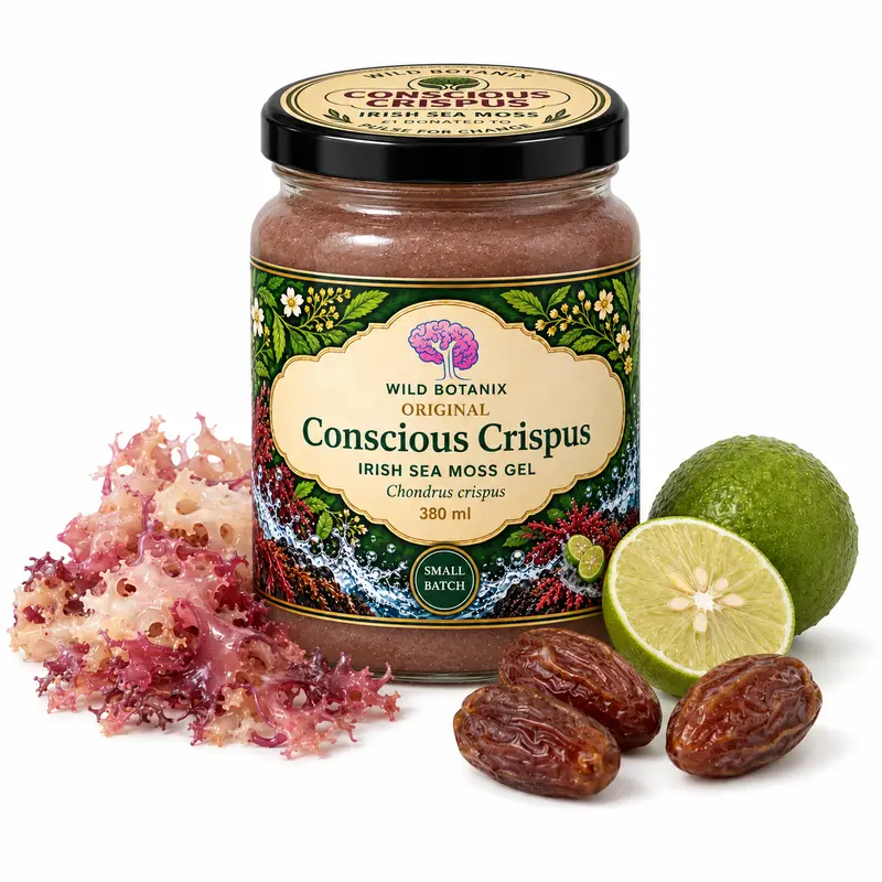 Original Conscious Crispus – Irish Sea Moss Gel, 380 ml