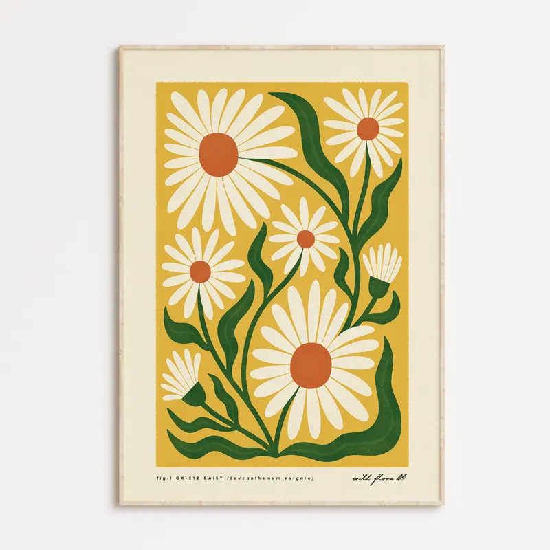 OxEye Daisy | Modern-Retro Wildflower Art Print | Wall Decor