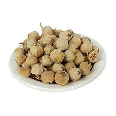 Paneer Dodi Paneer Doda Withania coagulans diabetes herb 50 gram