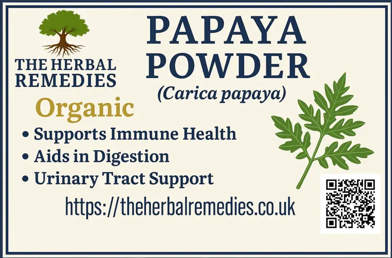 Papaya Leaf Powder (Carica papaya) — Digestive Enzyme Support & Natural Wellness