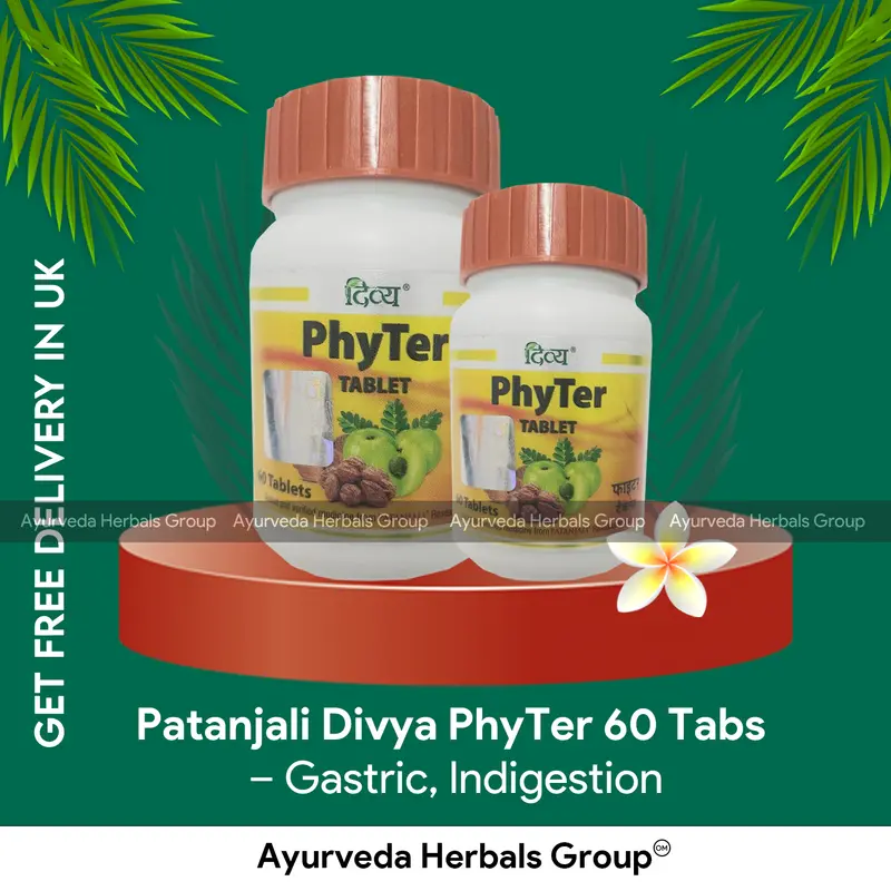 Patanjali Divya PhyTer 60 Tabs - Ayurvedic Wellness Support | Ayurveda Herbals UK