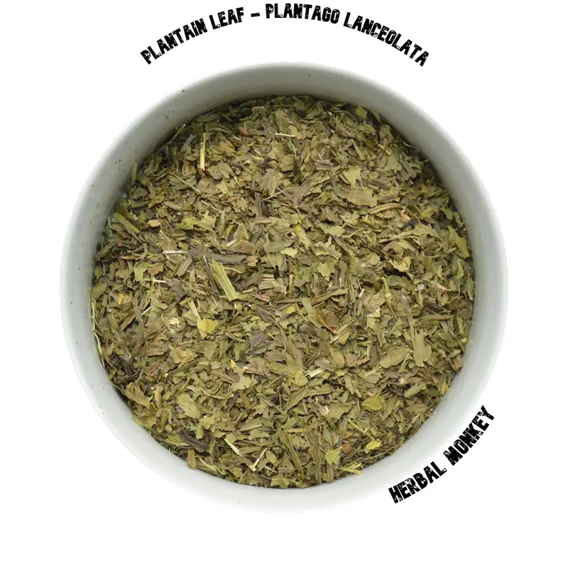 Plantain Leaf | Plantago Lanceolata | Premium Botanical | Plantain Tea