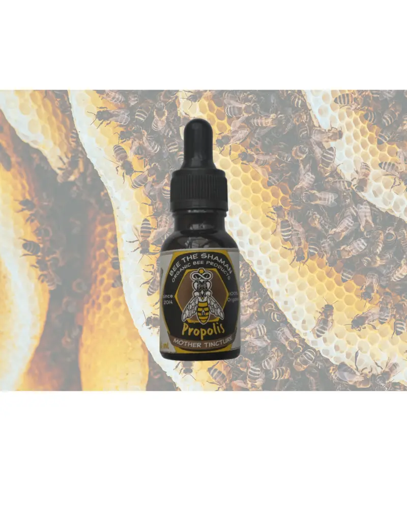 Propolis from the Italian Alps
