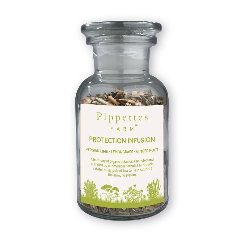 Protection Infusion - Pippettes Teas