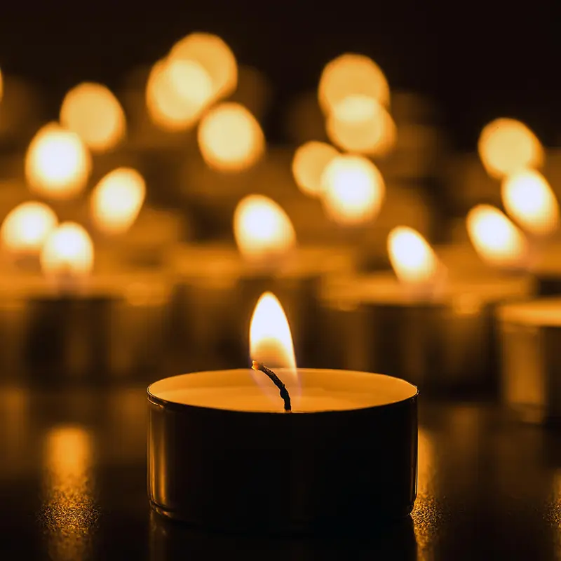 Pure Beeswax Tealights (Gift-box of 32)