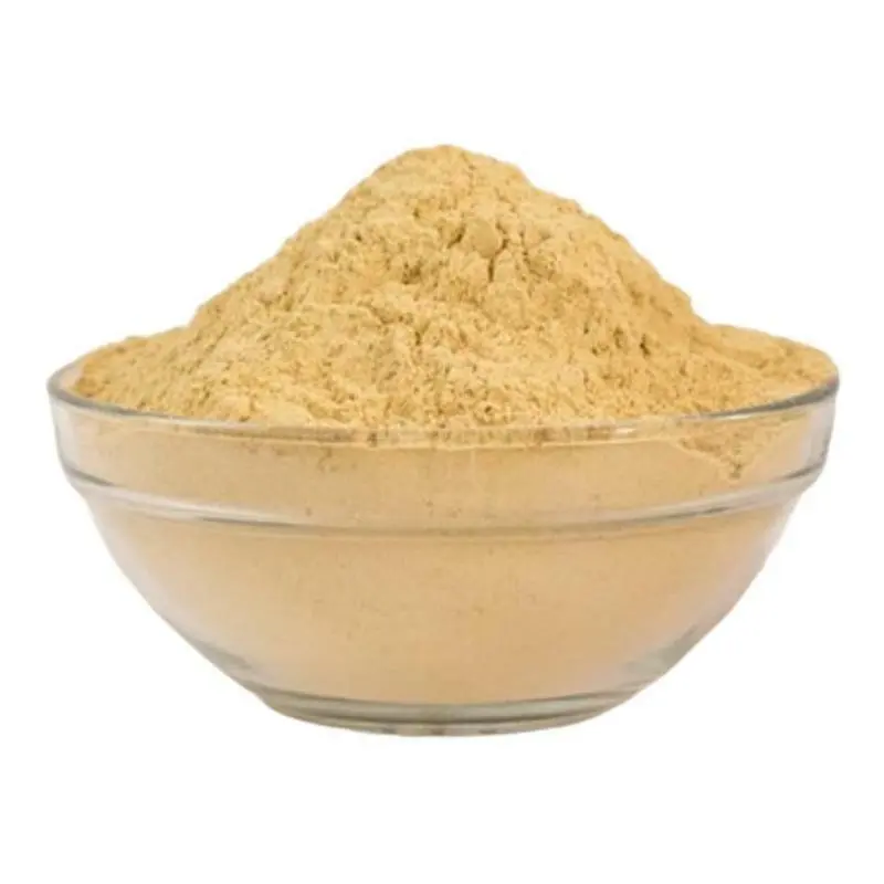 Pure Dhamasa Powder (Fagonia Arabica) 100g | Premium Grade