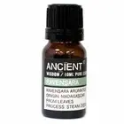 Ravensara Essential Oil – 100% Pure & Natural (10ml)