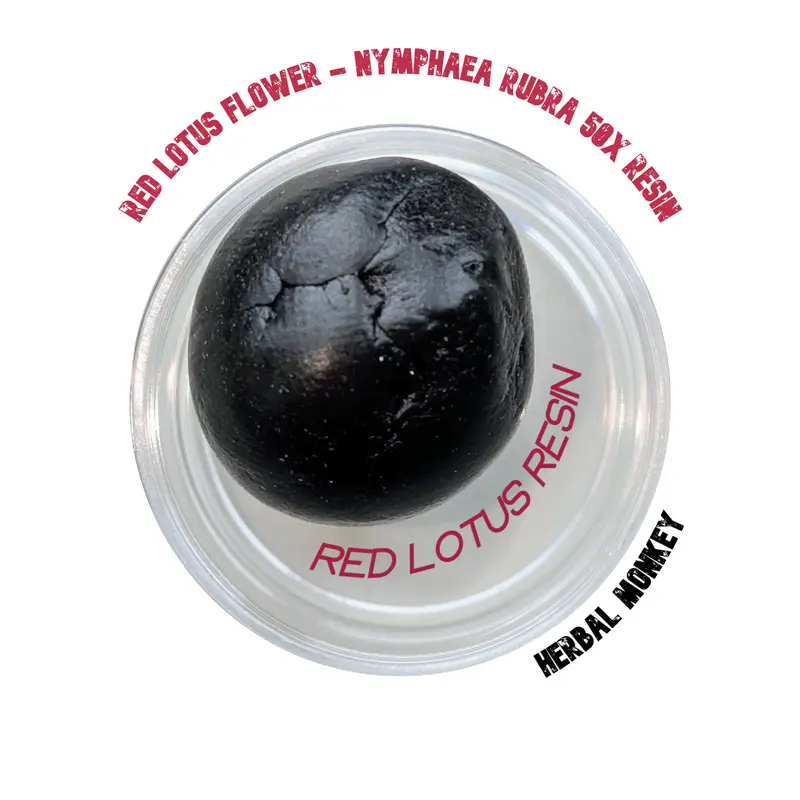 Red Lotus Soft Resin – Nymphaea rubra | Ceremonial Botanical Resin for Ritual Use