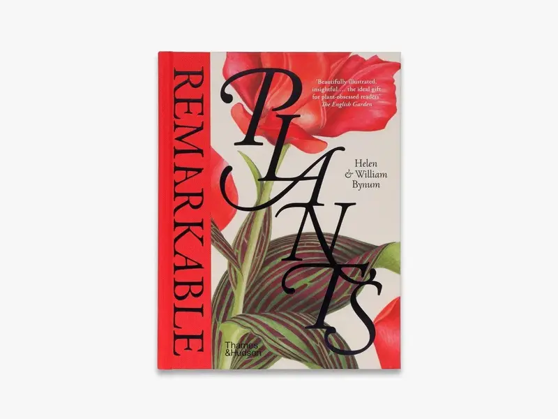 Remarkable Plants