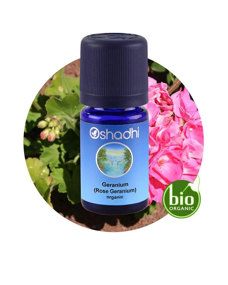 Rose Geranium Essential oil
