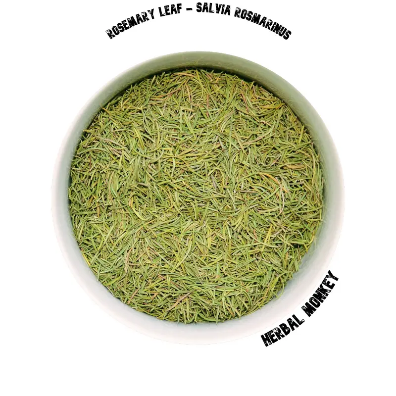 Rosemary Leaf | Salvia Rosmarinus | Rosemary Leaf Tea