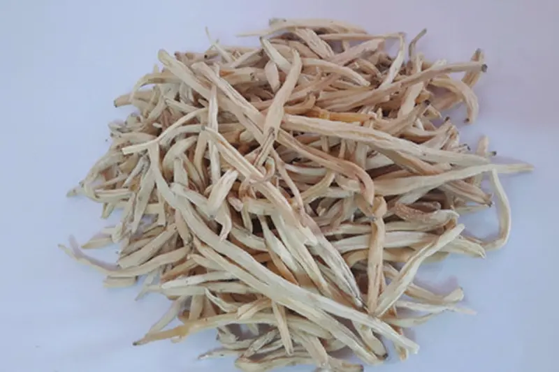 Safed Musli, white musli known as Chlorophytum borivilianum