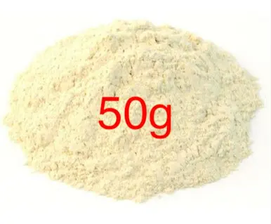 Safed Musli, white musli known as Chlorophytum borivilianum
