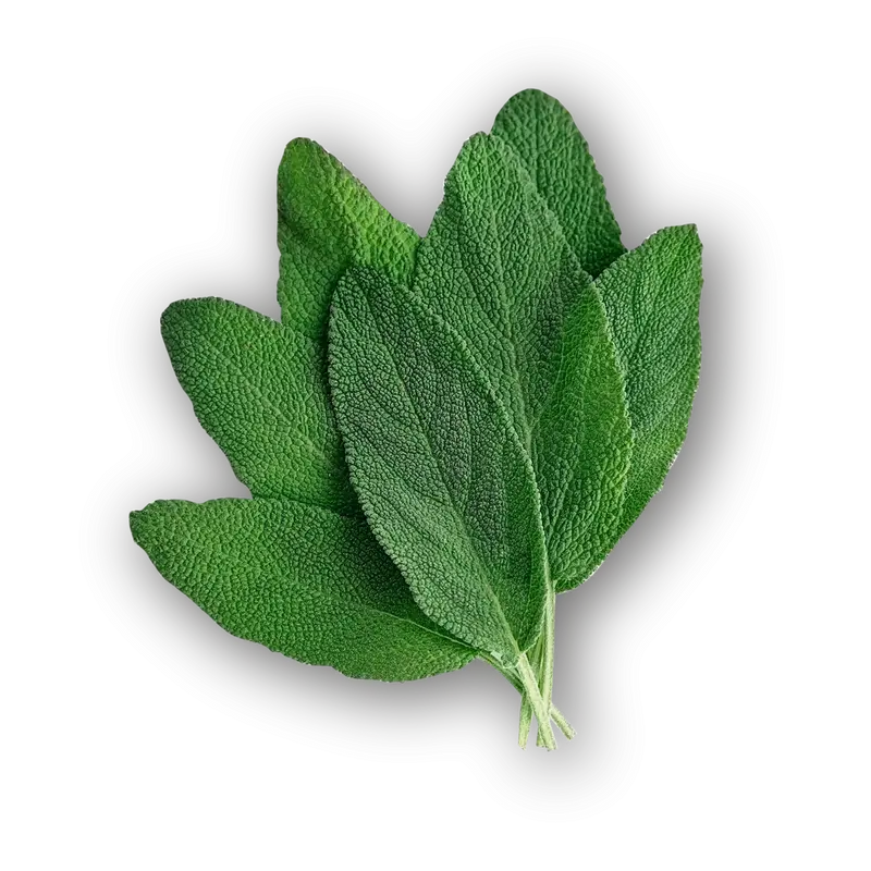 Sage leaf Tea- Dried Herb Organic