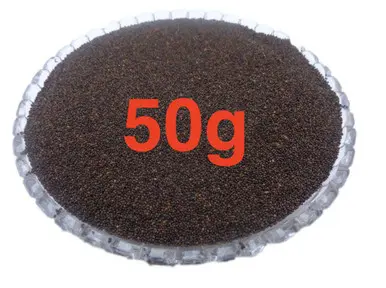 Samandar Sokh (Elephant Creeper Seeds) – Traditional Herbal Seeds