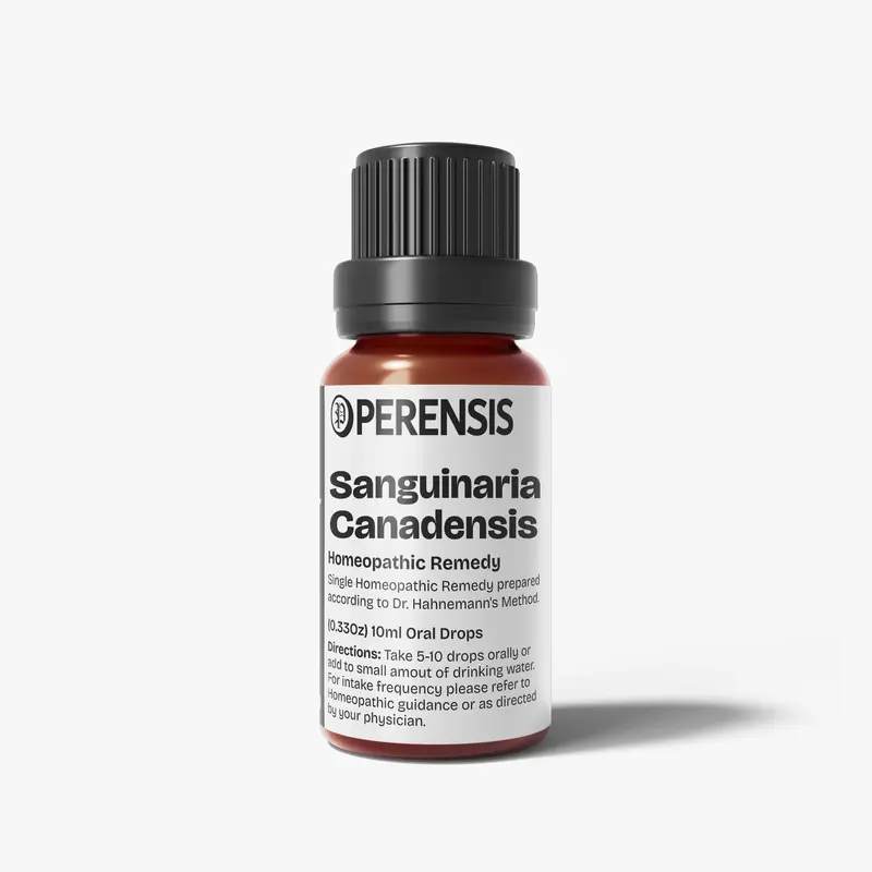 Sanguinaria Canadensis