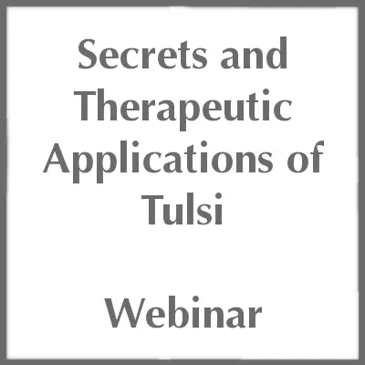 Secrets and Therapeutic Applications of Tulsi - Holy Basil