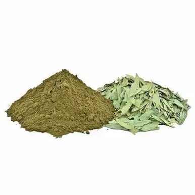 Senna extract, Dried Senna leaves extract, Senna Makki Senokot 50g powder