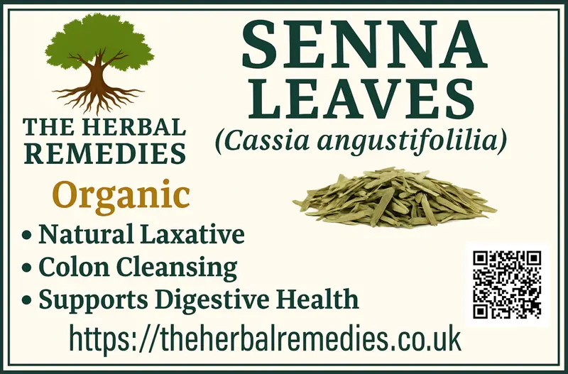 Senna Leaves POWDER (Senna alexandrina) – Sana Makki, Indian Senna- Natural Digestive Cleansing Herb