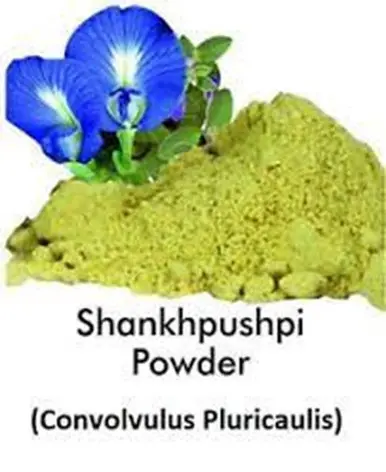 Shankhpushpi Powder | Traditional Ayurvedic Herbal Support for Focus & Memory