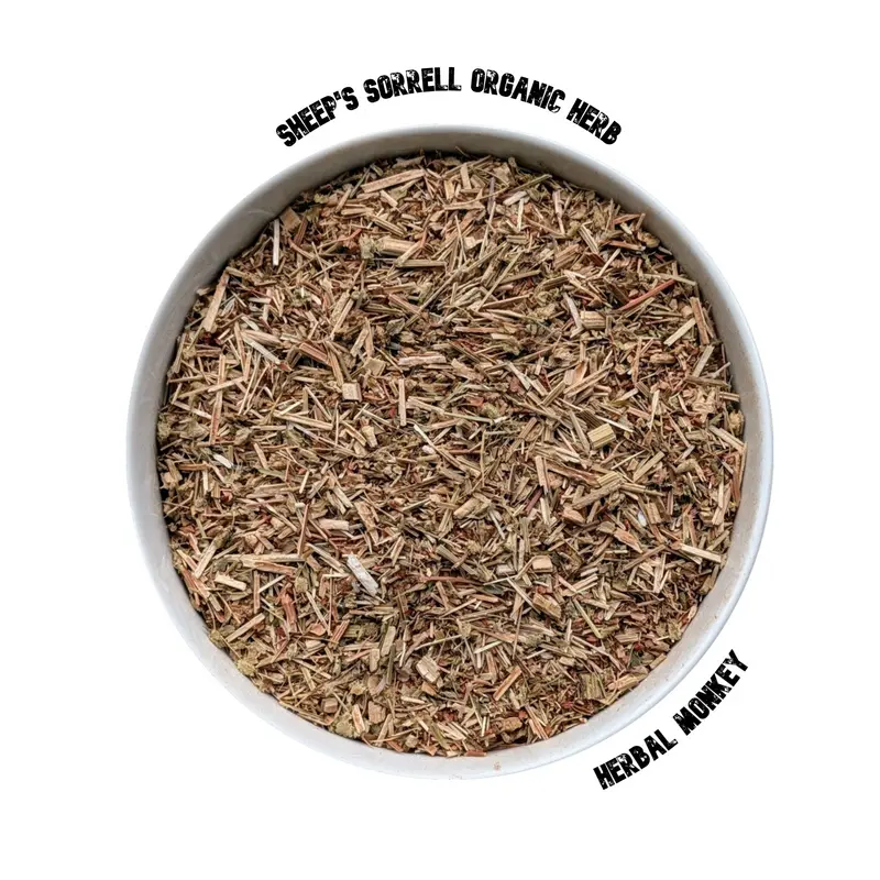 Sheep's Sorrell Herb | Rumex Acetosella | Premium Botanical