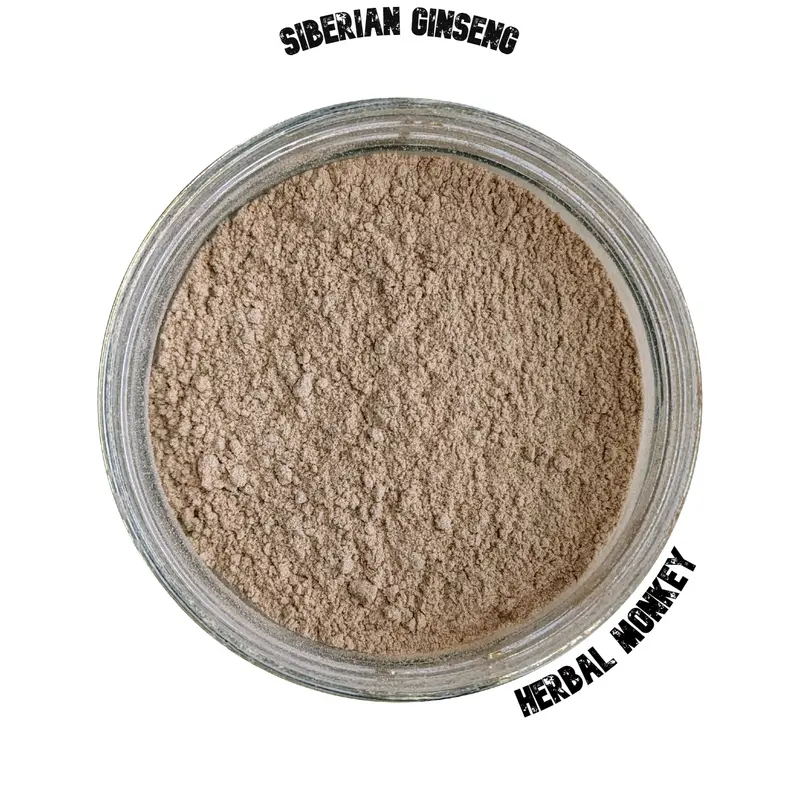 Siberian Ginseng Powder – Eleutherococcus senticosus | Premium Botanical