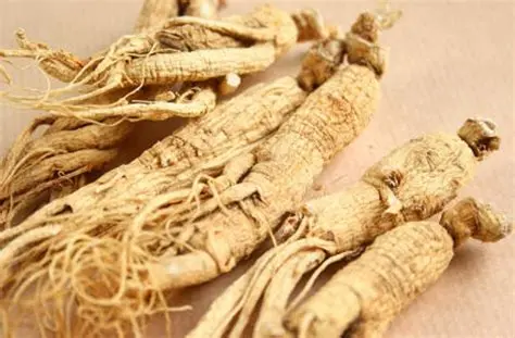 Siberian Ginseng tinture, Organic