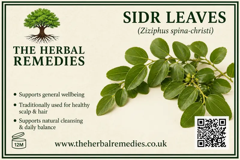 Sidr (Sedar) Leaves powder – Herbal Leaves powder