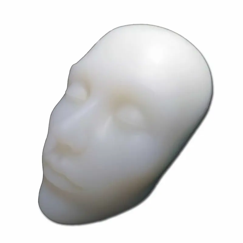 Silicone Full Face And Skeletal Model