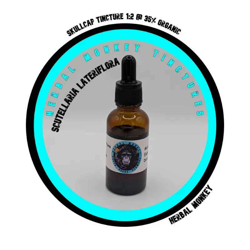 Skullcap Fresh Tincture 30ml or 50ml | 1