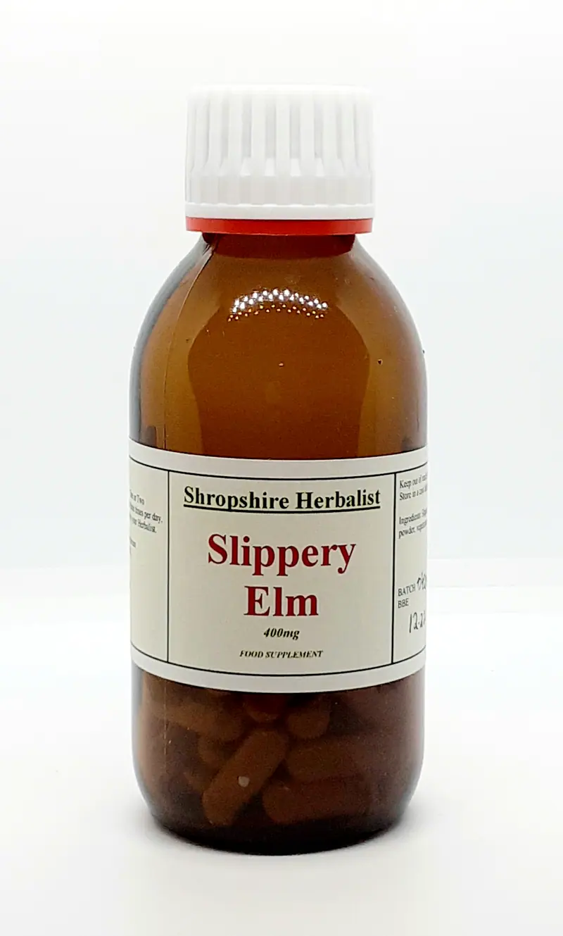 Slippery Elm