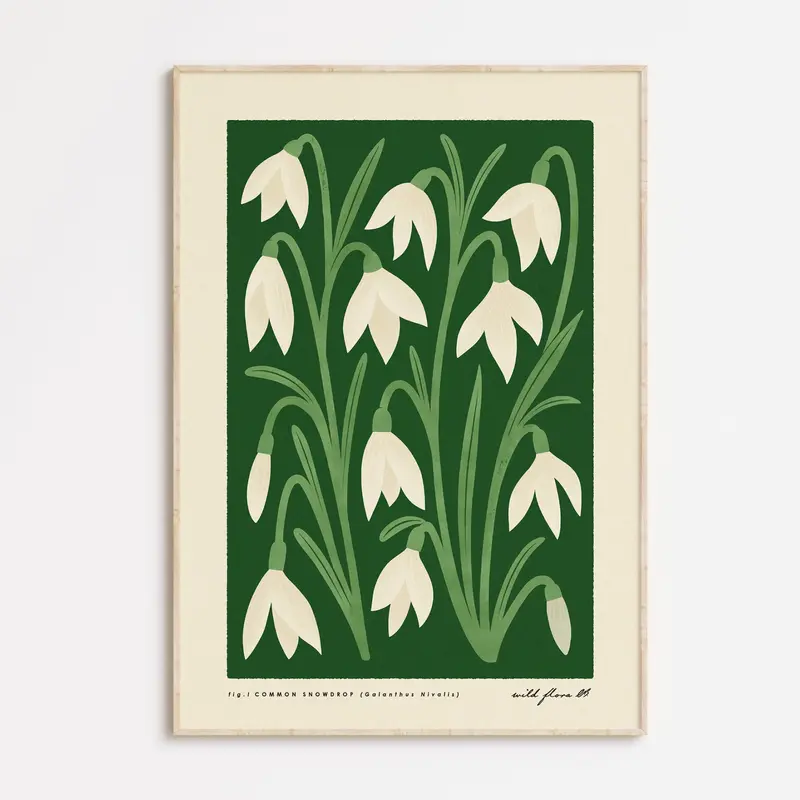 Snowdrop | Modern-Retro Wildflower Art Print Wall Decor