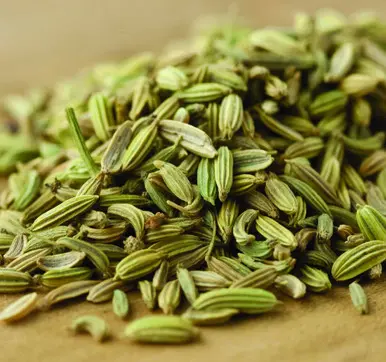 Sounf / Saunf / Fennel / Variyali (Whole) 100g