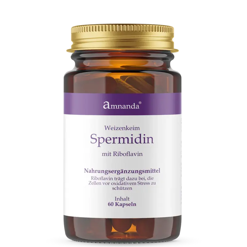 Spermidine Plus