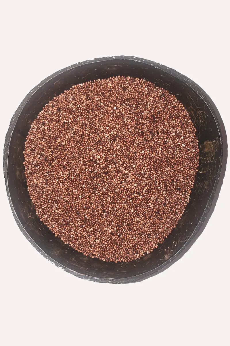 Sprouting Ragi (Red Finger Millet) – Ancient Grain of Vitality 1kg