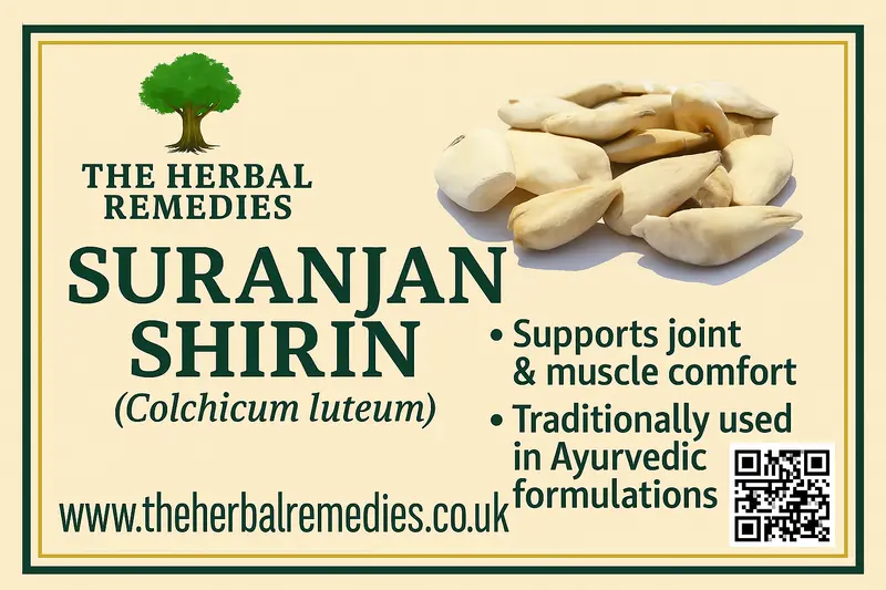 Suranjan Shirin (Sweet Colchicum) –  Botanical Name