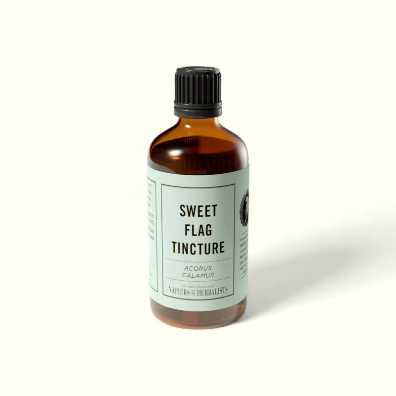Sweet Flag Root Tincture (Acorus calamus)