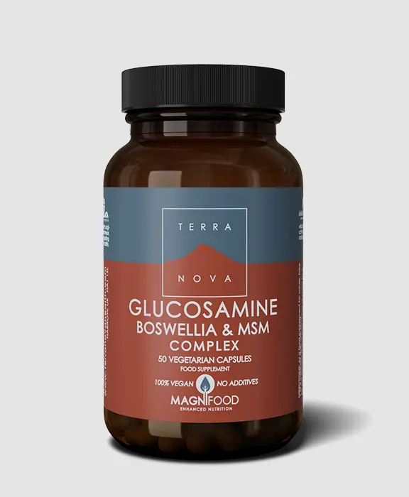 Terra Nova Glucosamine Boswellia & MSM